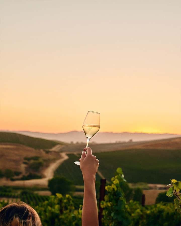 Wine Icons: Meet the sparkling world of Chandon - Four sparkling wines and food pairings