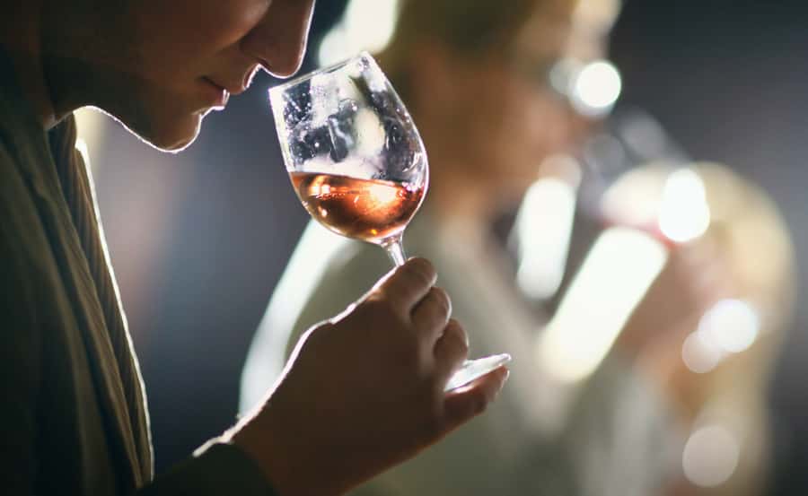 Wine Tasting in Buenos Aires - Four regions of Argentina in one short sitting